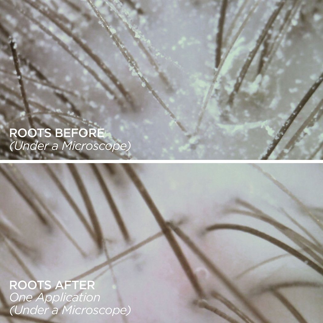 The Healthy Hair Kit Haircare BeautyBio